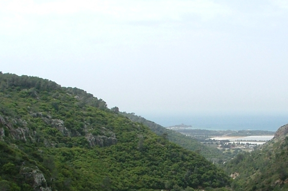 מכללת תרפיה אתר קורסים עמוד הבית